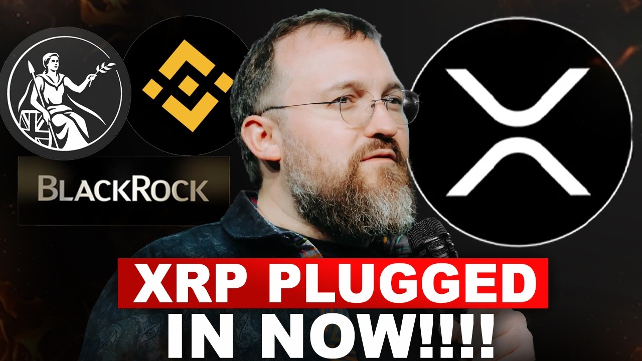 XRP ОФИЦИАЛЬНО ПОДКЛЮЧЕН!!!! ЭТО ОГРОМНОЕ СОБЫТИЕ (BlackRock, Binance и Банк Англии)