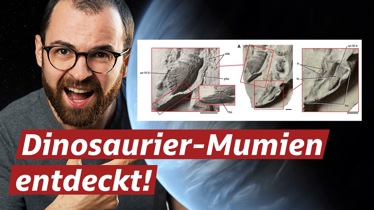 Diese krassen Science News hast du 2025 verpasst