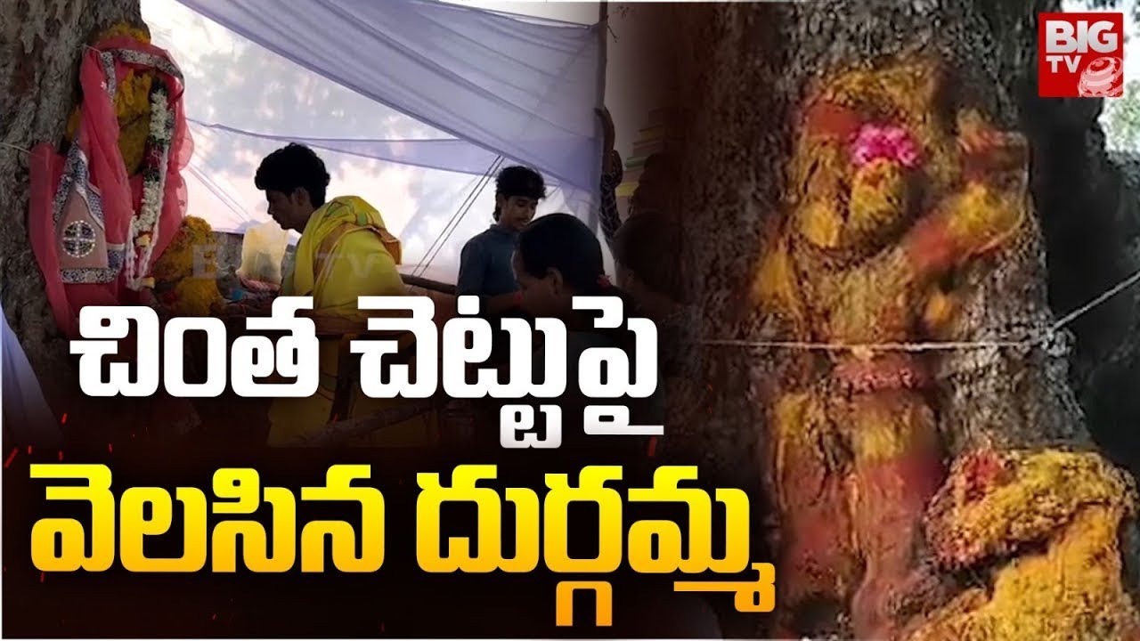 చింత చెట్టు పై వెలసిన దుర్గమ్మ | Goddess Durga Matha shines on the chinta Chettu | BIG TV
