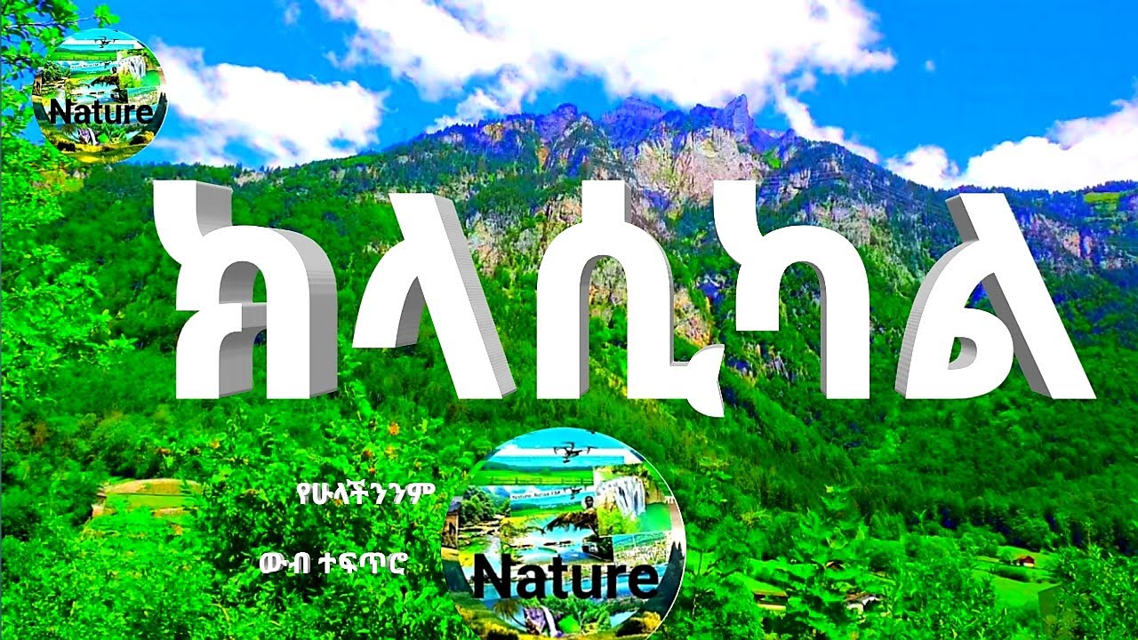 🟢🍀🌲🌳Best  Instrumental  music, ክላሲካል  2024🌲🌳