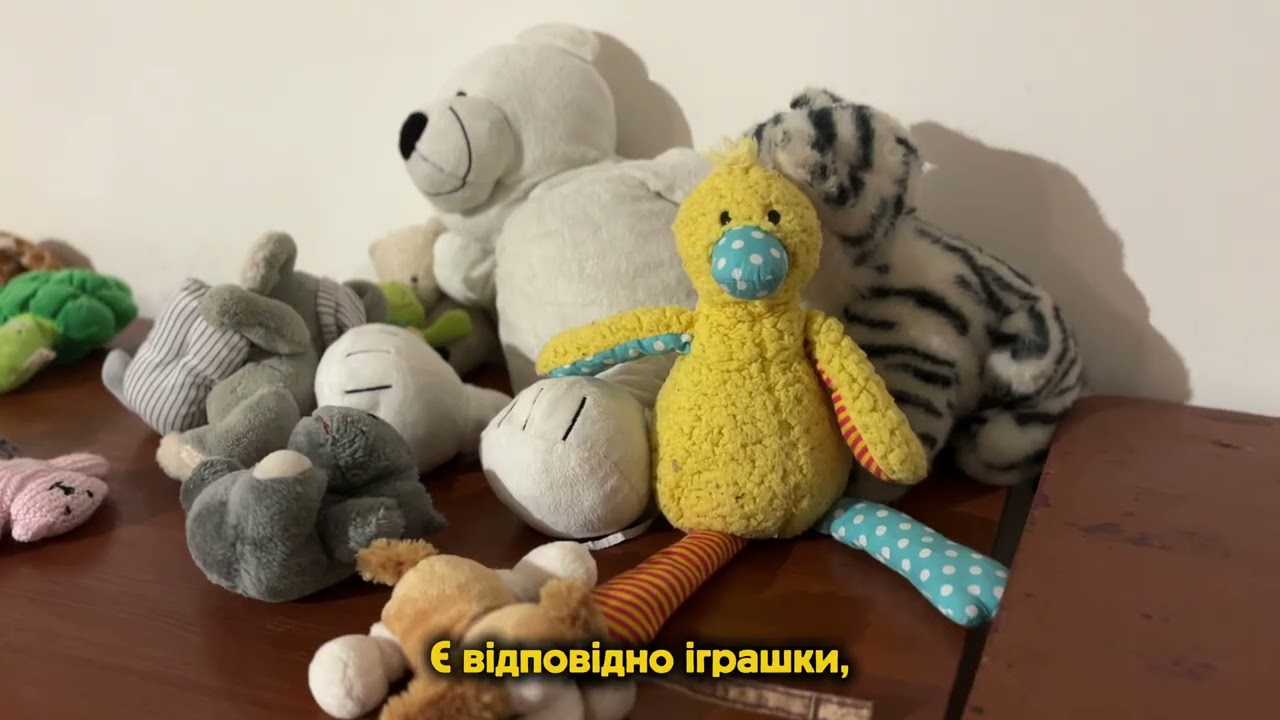 ✅ На базі гуманітарного центру «Совине гніздо» в Ужгороді функціонує Пункт незламності