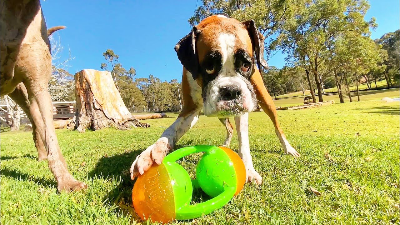 Wednesday at the farm