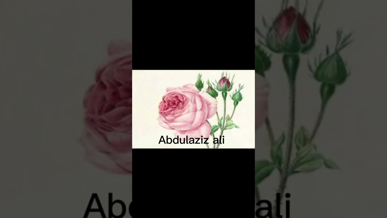 المنشد المعتصم بالله حبابة (( أخفي الهوى ومدامعي تبديه ))