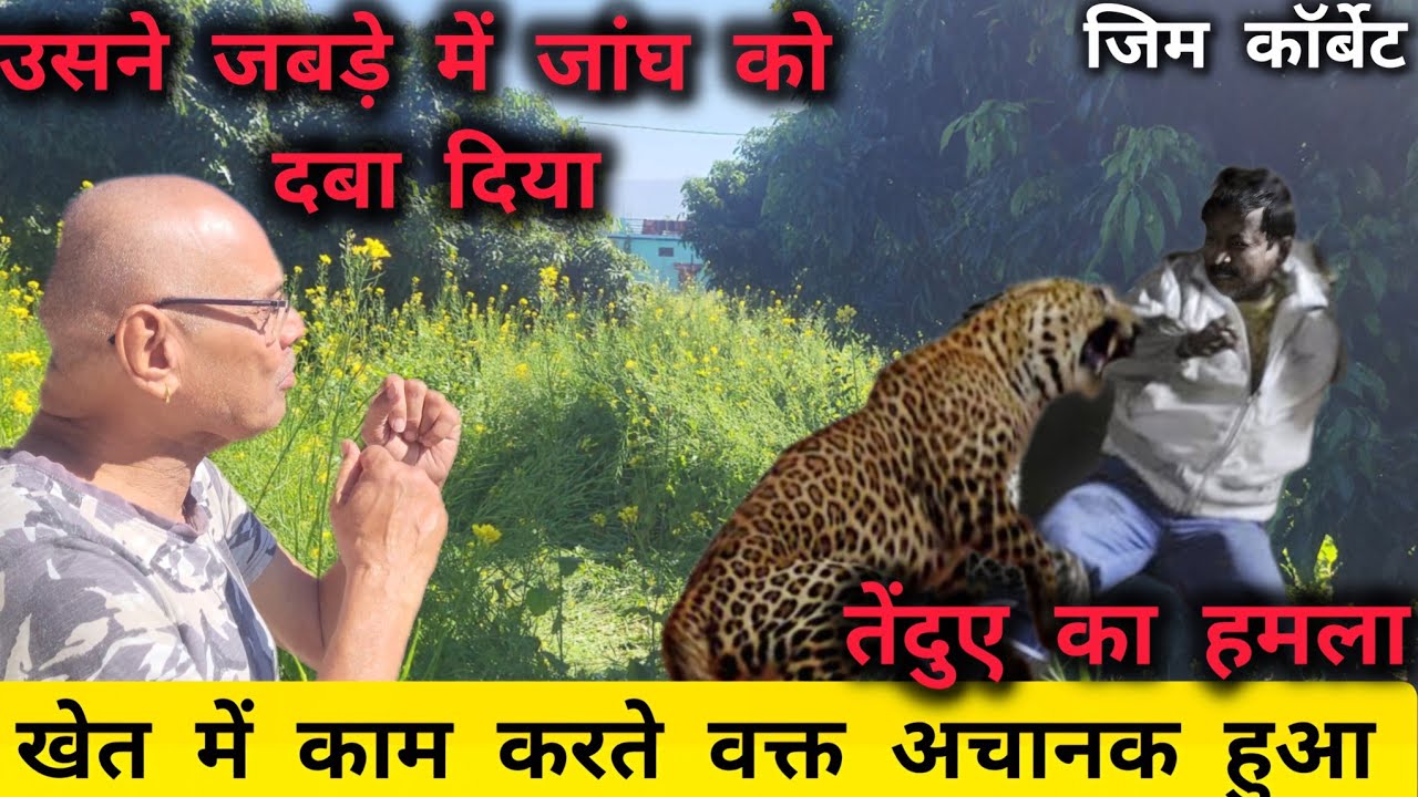 Jim Corbett में खेत के बीच हुआ अचानक Leopard Attack | जबड़े में जांघ को दबा दिया RealEncounter 