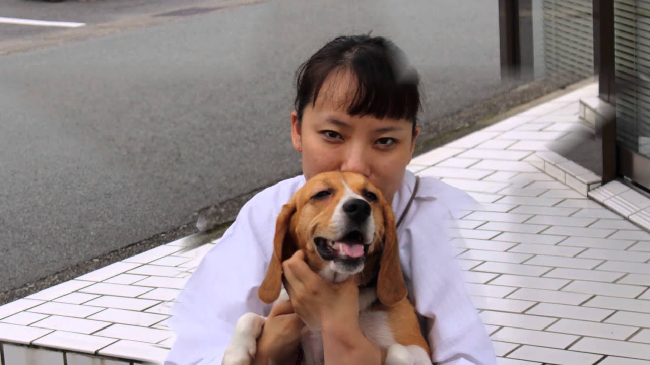 チービィの夏　（我が家の愛犬物語）