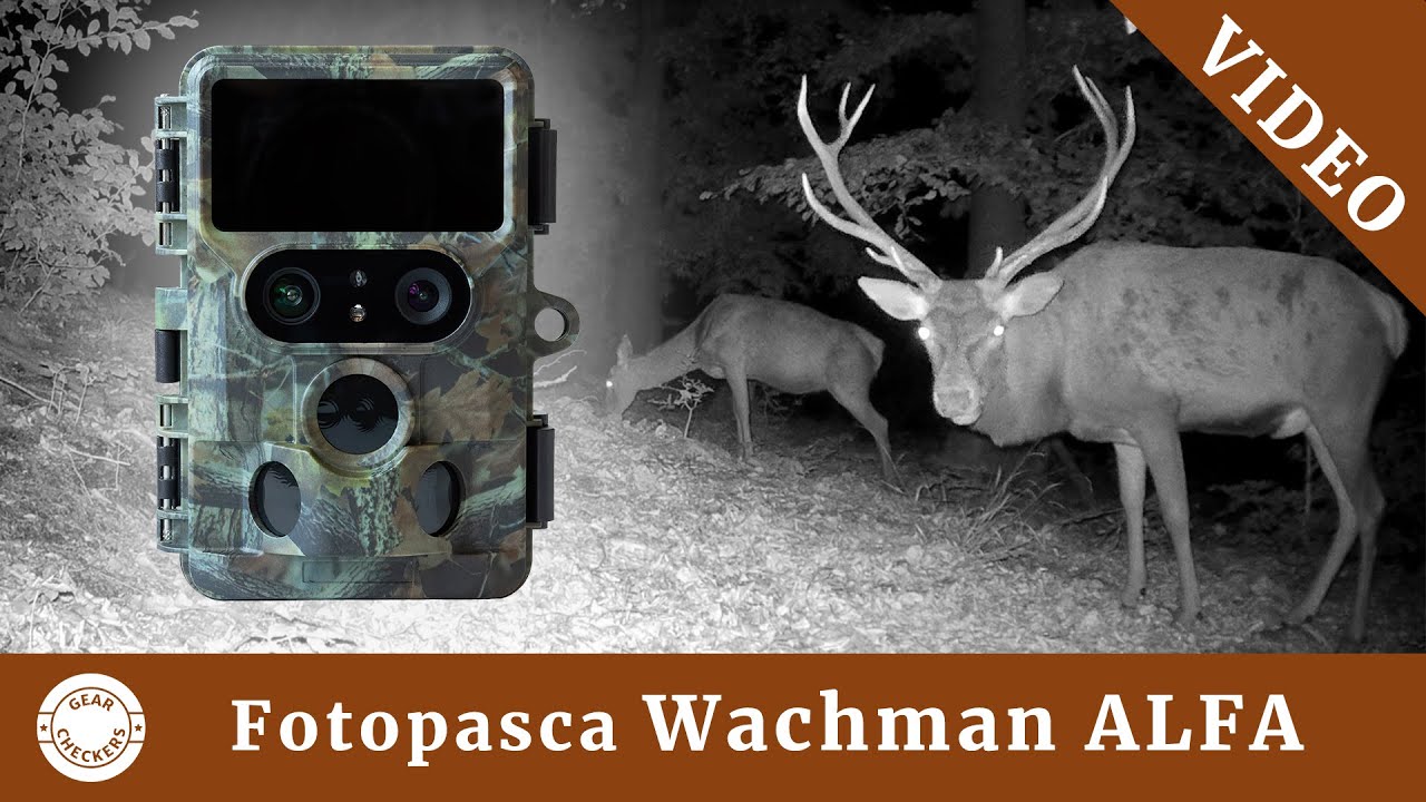 Fotopasca Wachman Alfa | VIDEO