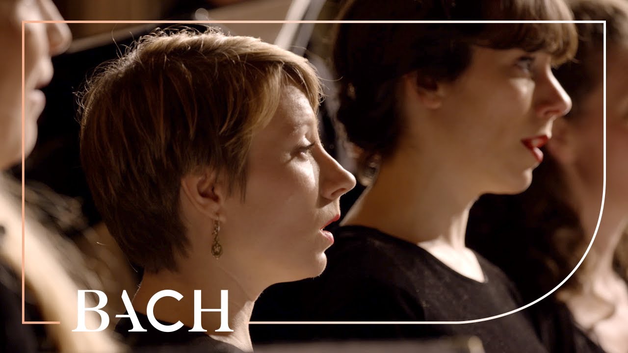 Bach - Chorale O Traurigkeit, o Herzeleid BWV 404 - Prégardien | Netherlands Bach Society
