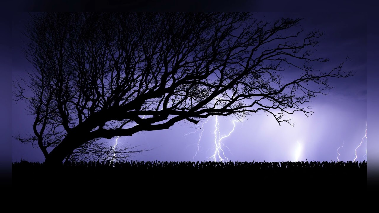 Thunderstorm Sounds for Sleep, Study & Relaxation