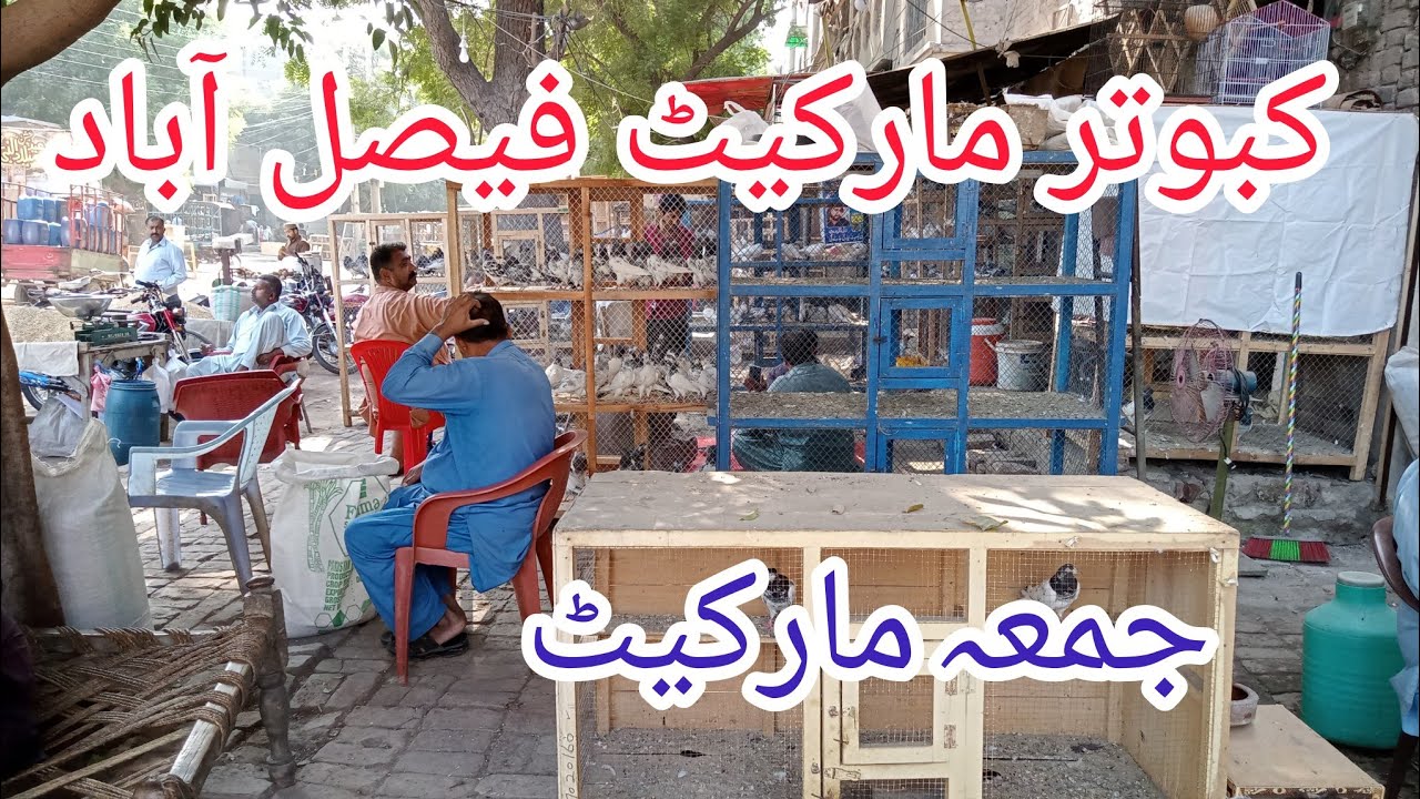 Faisalabad kabootar mandi 