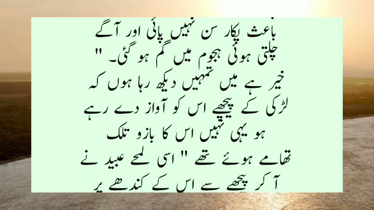 Urdu Novel 