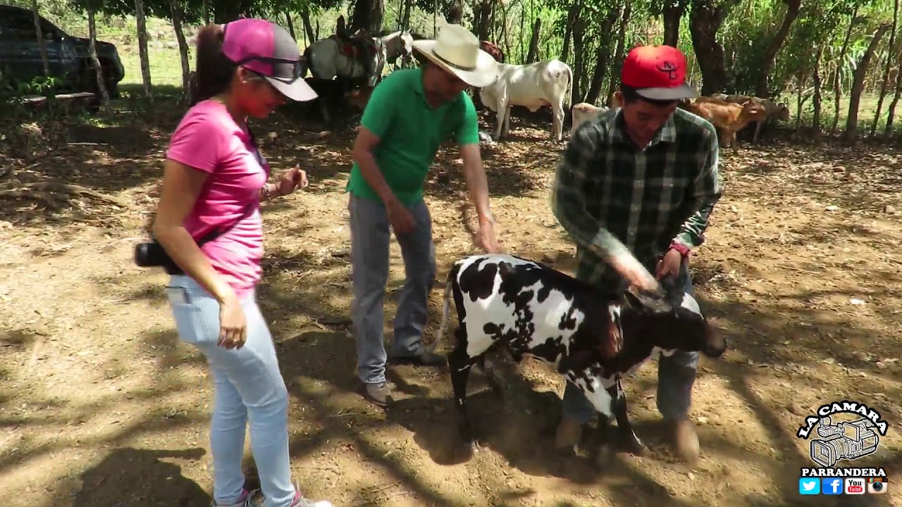 TOYITO VERGARA DIA DE FINCA Y GANADERIA