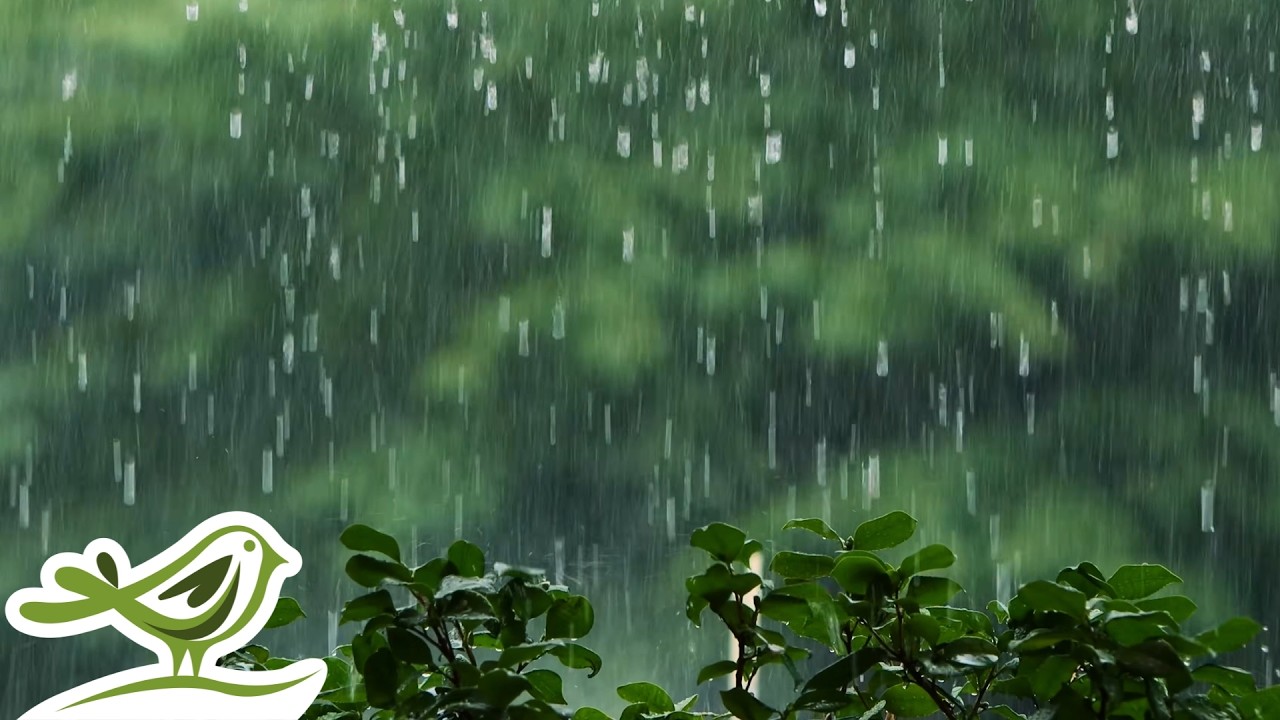 Peder B. Helland - Thursday (Rain Version) | Мягкая Фортепианная Музыка для Сна и Релаксации