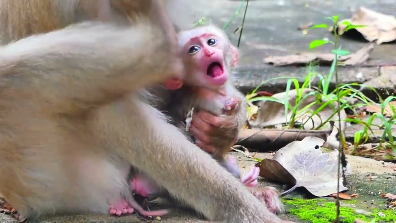The child was scared because the mother raised her foot in his face.