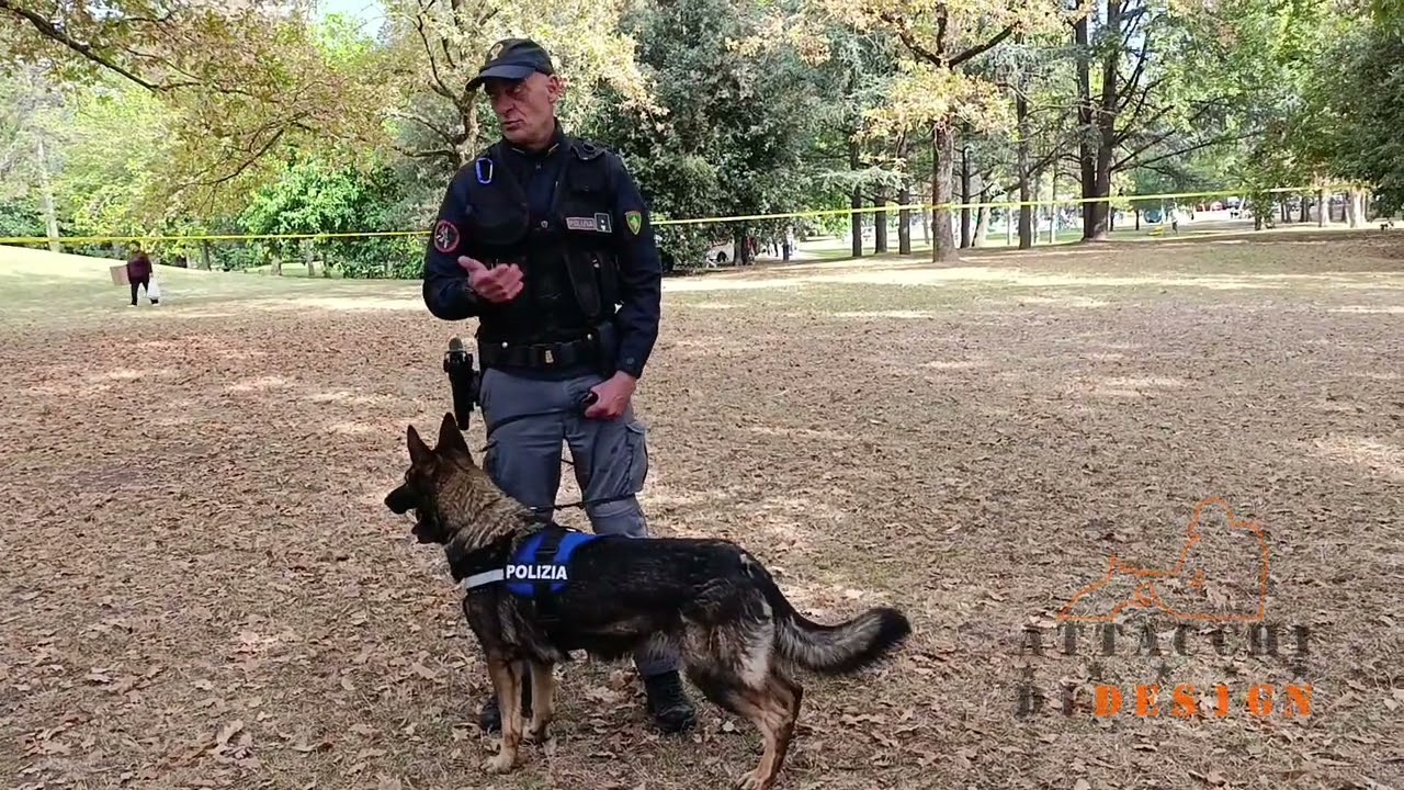 Polizia Di Stato - ordine pubblico - IL MONDO DEL CANE DA LAVORO Attacchi di Design 2025