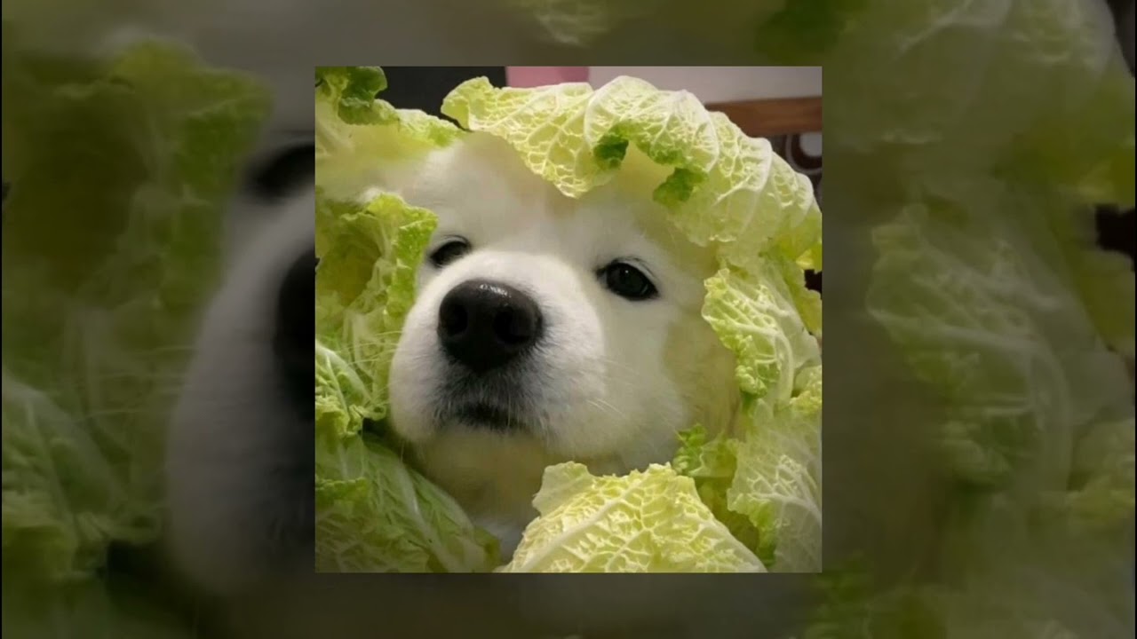 Bibi &ndash; BAD SAD AND MAD[Speed up]