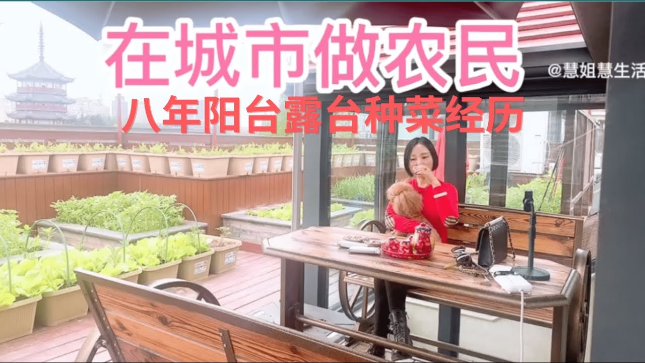 8年前在封闭阳台种菜，如今有院子有露台，努力打拼为老婆圆梦