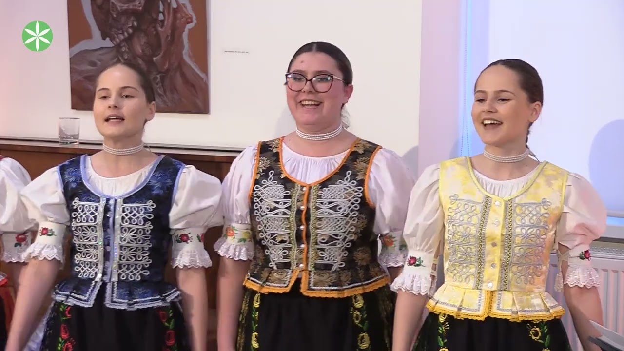 Noc Muzeí a galérií 2025 - vystúpenie  FS Makovica