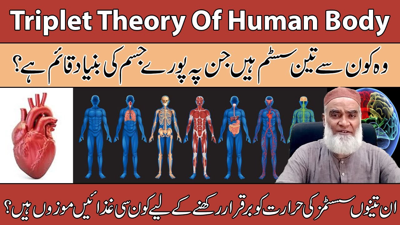 Triplet Theory Of Human Body (Info) | Insani Jism Ke Baare Mein Maloomaat | Al-Razaqi Health Recover