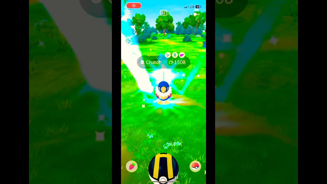 ✨🎵 A shiny Chatot appears!! 🦜 
