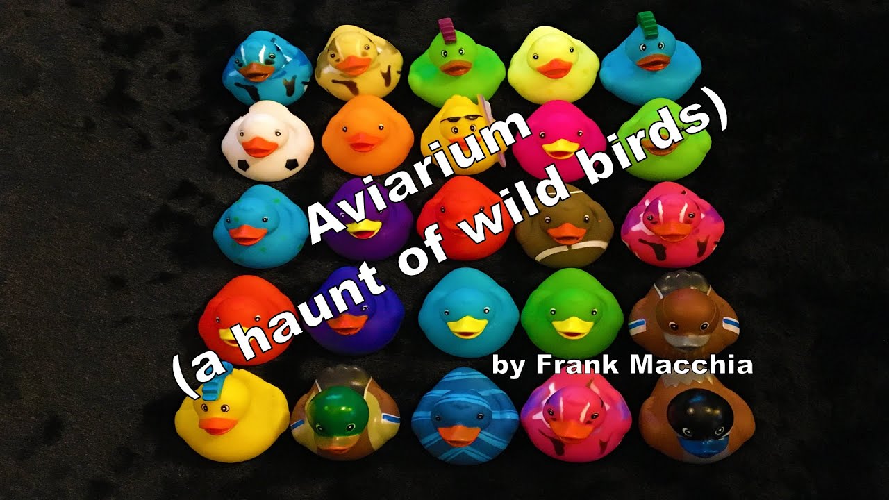 Aviarium (A Haunt of Wild Birds) for 16 Woodwinds & Rubber Duckies