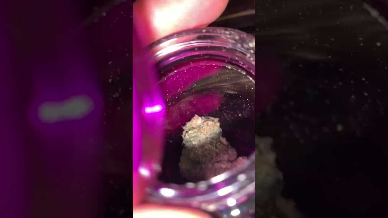 TERPY TIME TASTE BUDS - NEW DROP!!!! WIZARD TREES - RS#54 #california #bayarea #fancyflowers #bagart