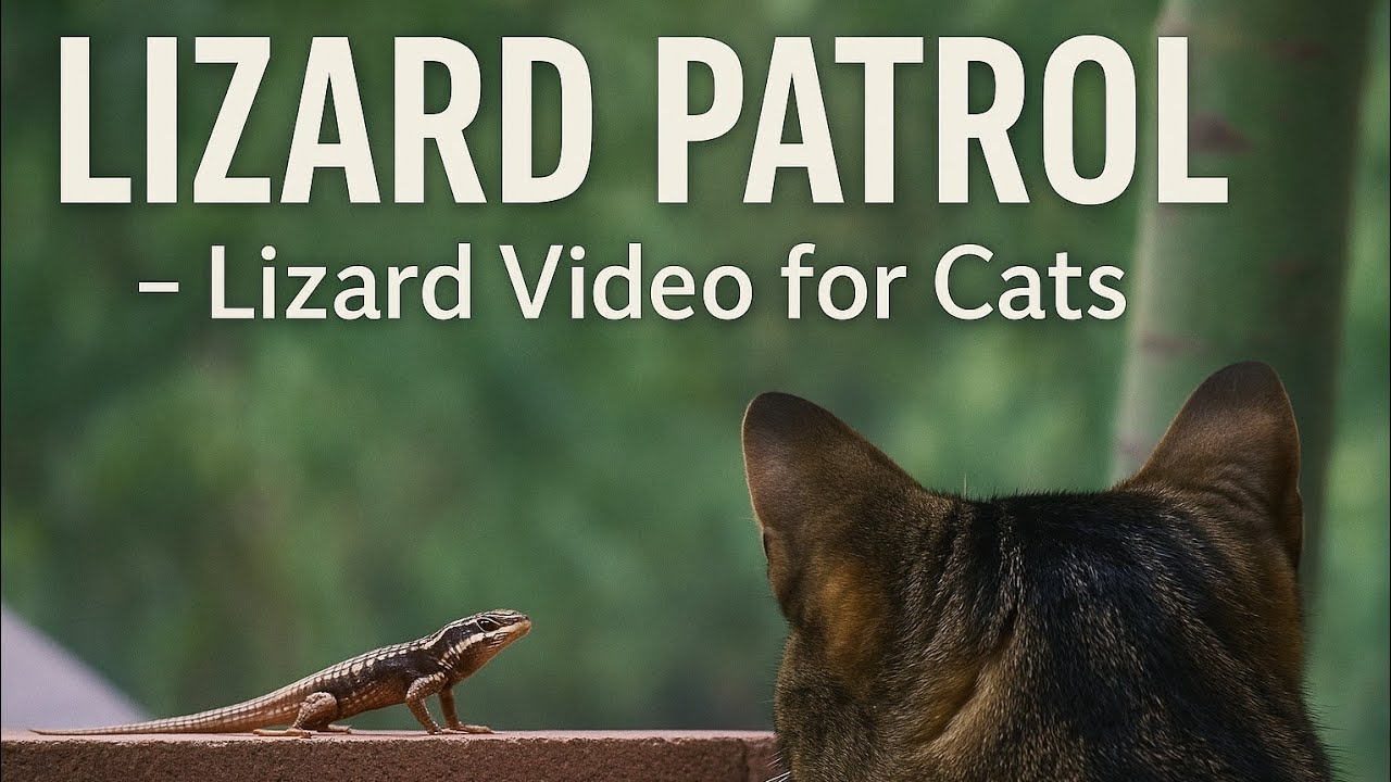 Lizard Patrol! Desert Lizard 🦎 Walks Back and Forth – Cat TV to Trigger Hunt Mode 