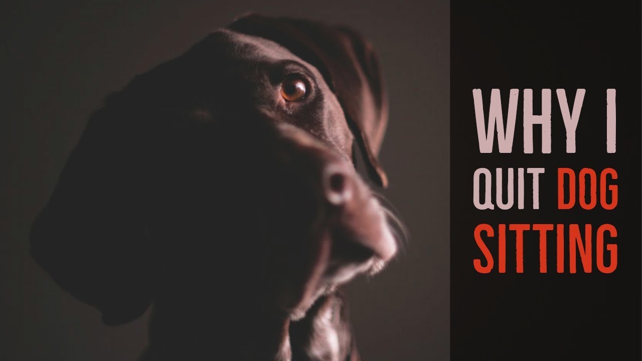 ''Why I Quit Dog Sitting'' | CREEPY SHORT STORY