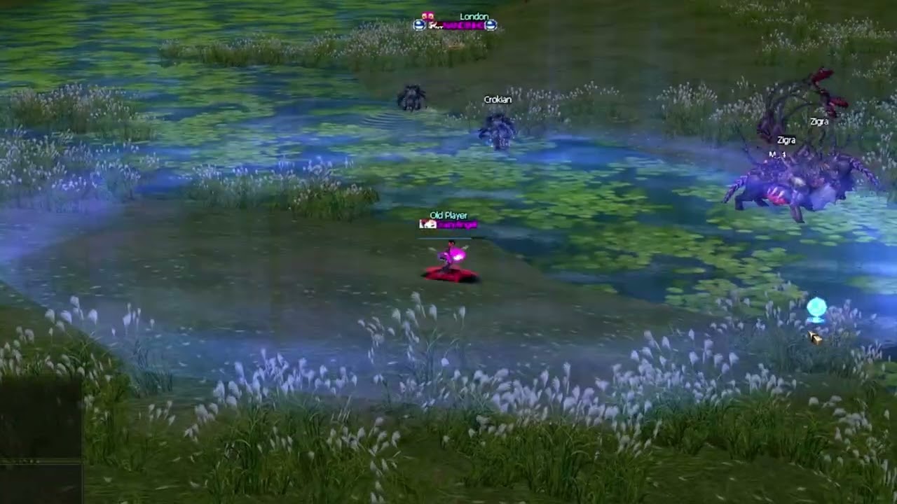 L2 KILLER CrazyAngel Solo Vs Alll