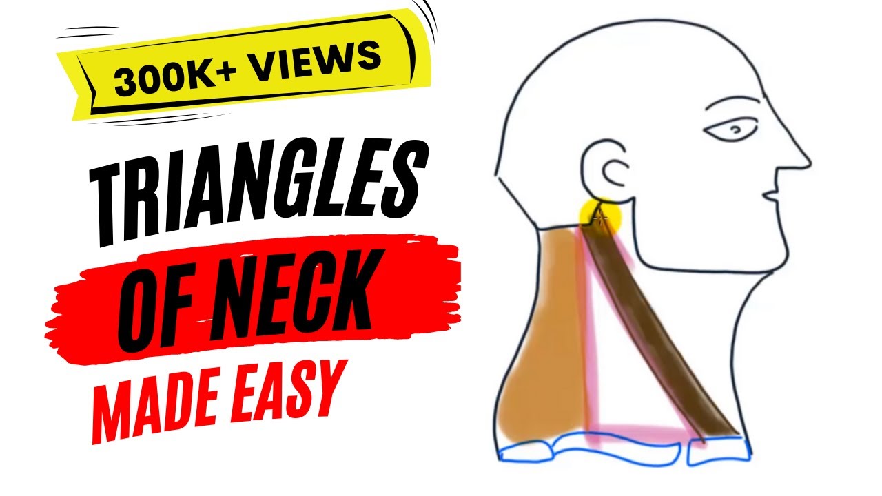 Triangles of neck made easy!