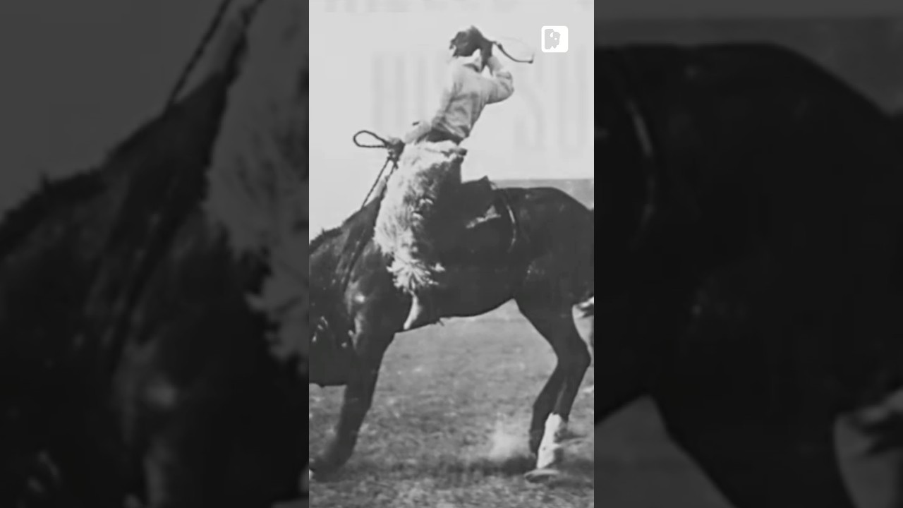 The Legendary Wyoming Bucking Horse