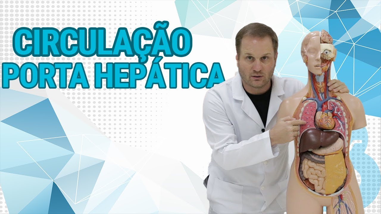 Circulação Porta Hepática - Aula prática
