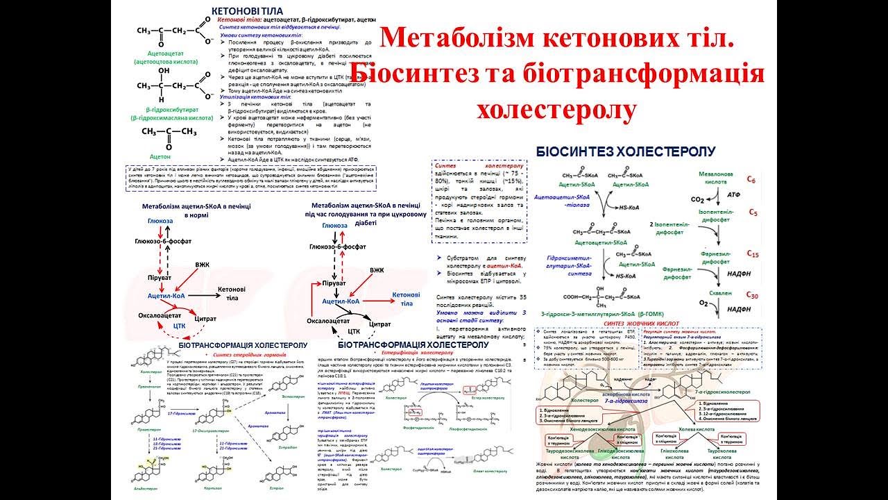 Крок 1 Біохімія. Метаболізм кетонових тіл. Біосинтез та біотрансформація холестеролу