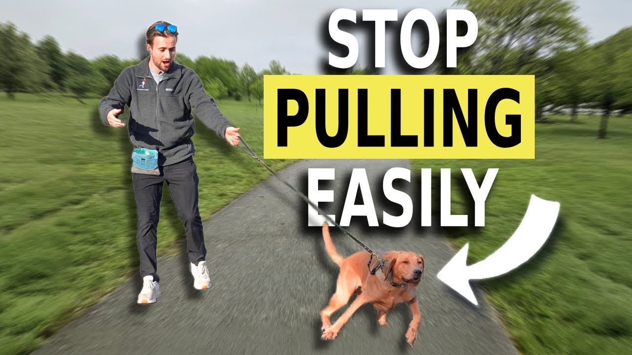 EASY Guide to STOP PULLING