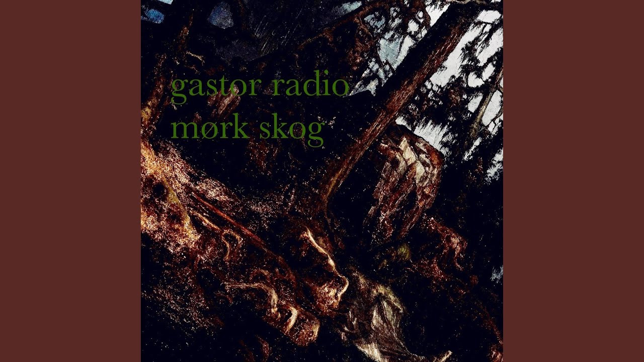m&oslash;rk skog