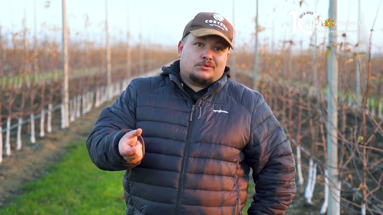 Cât costă o livadă intensivă de măr sau de cireș