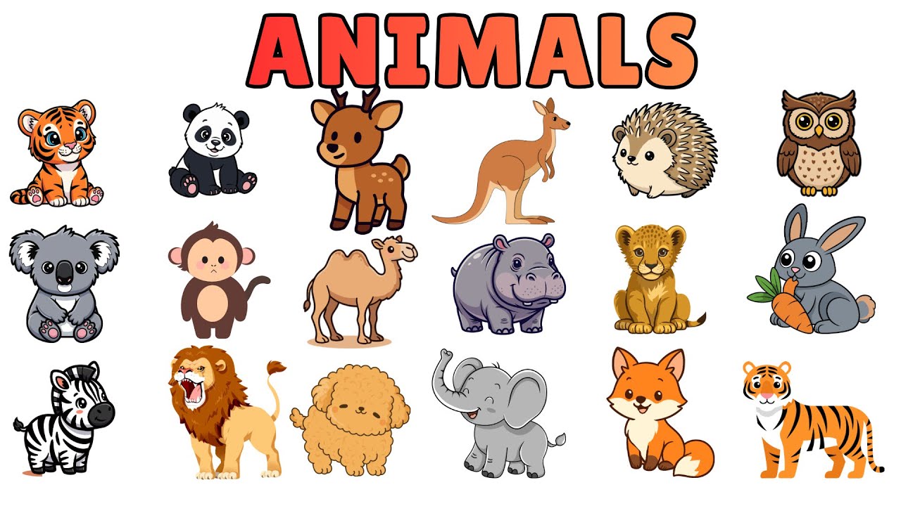 20 Animals Names for Kids | Animals Names for baby