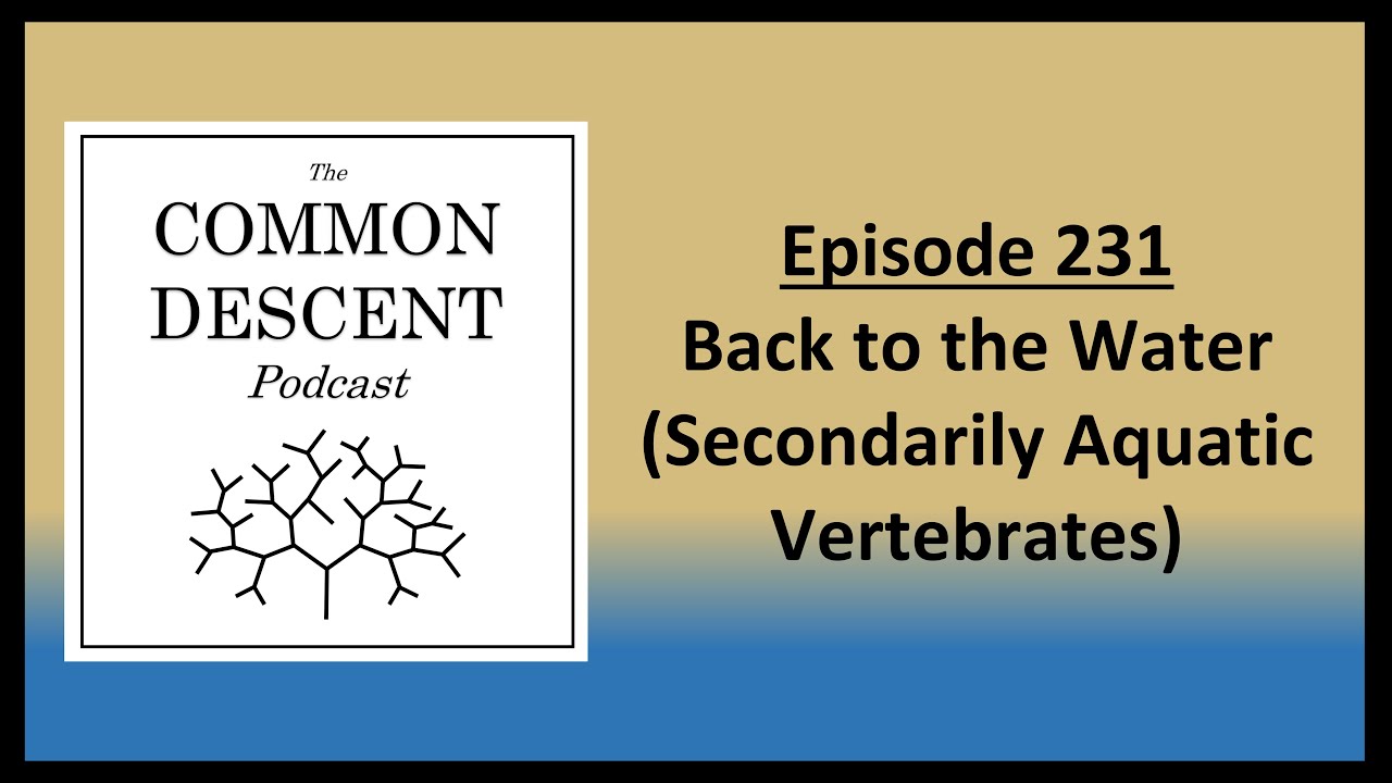 Episode 231 - Back to the Water (Secondarily Aquatic Vertebrates)