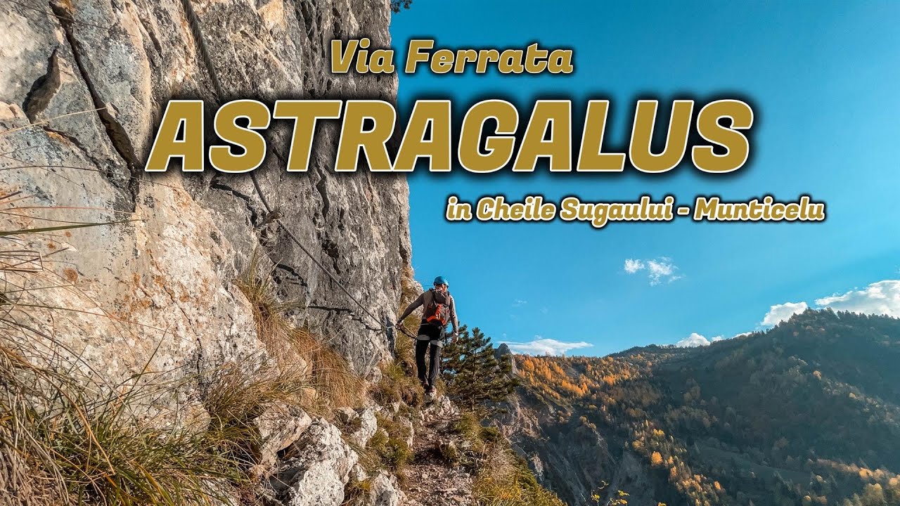 ASTRAGALUS | Cea mai LUNGA Via Ferrata din ROMANIA in Cheile Sugaului - Munticelu, jud.Neamt