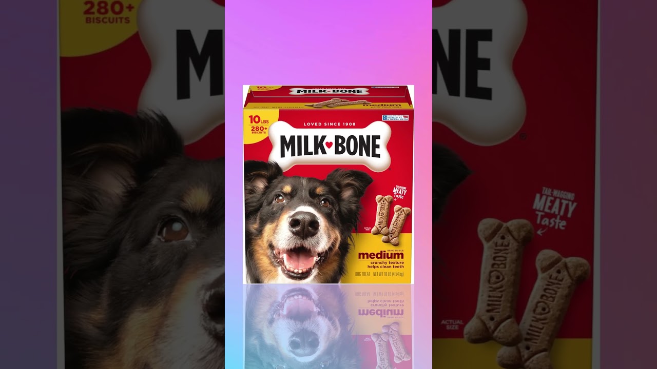 Milk Bone Original Dog Treats Biscuits for Medium Dogs, 10 Pound #amazon  #petsupplies