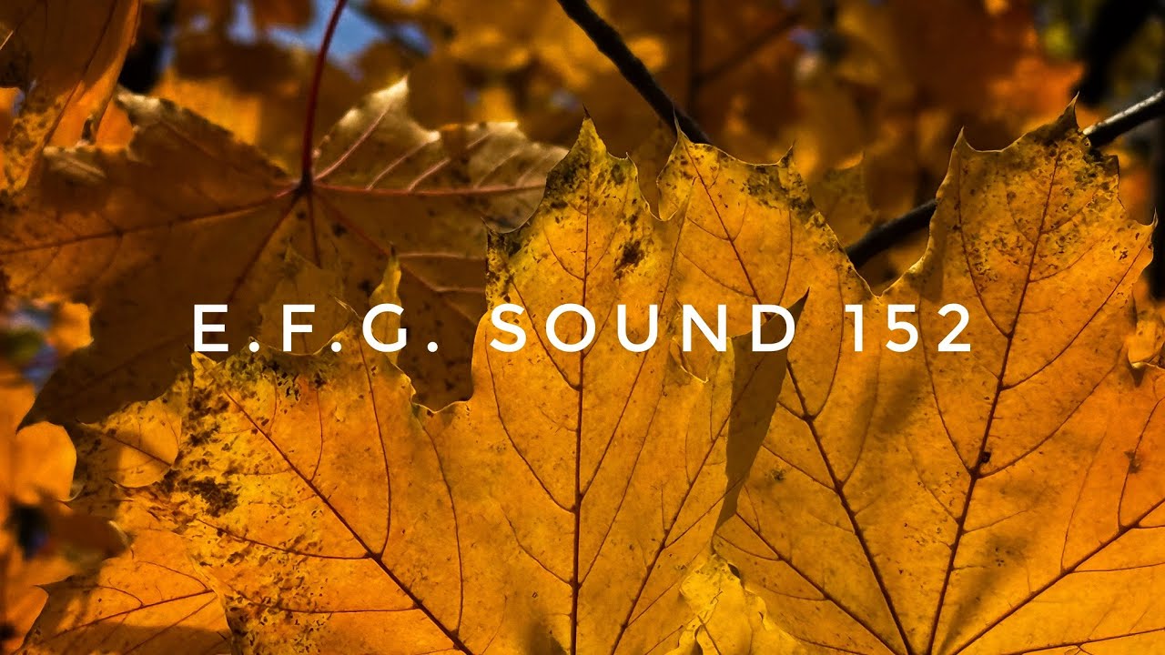 E.F.G. Sound 152 | Organic, Deep & Melodic House Mix | Autumn Vibes 2025