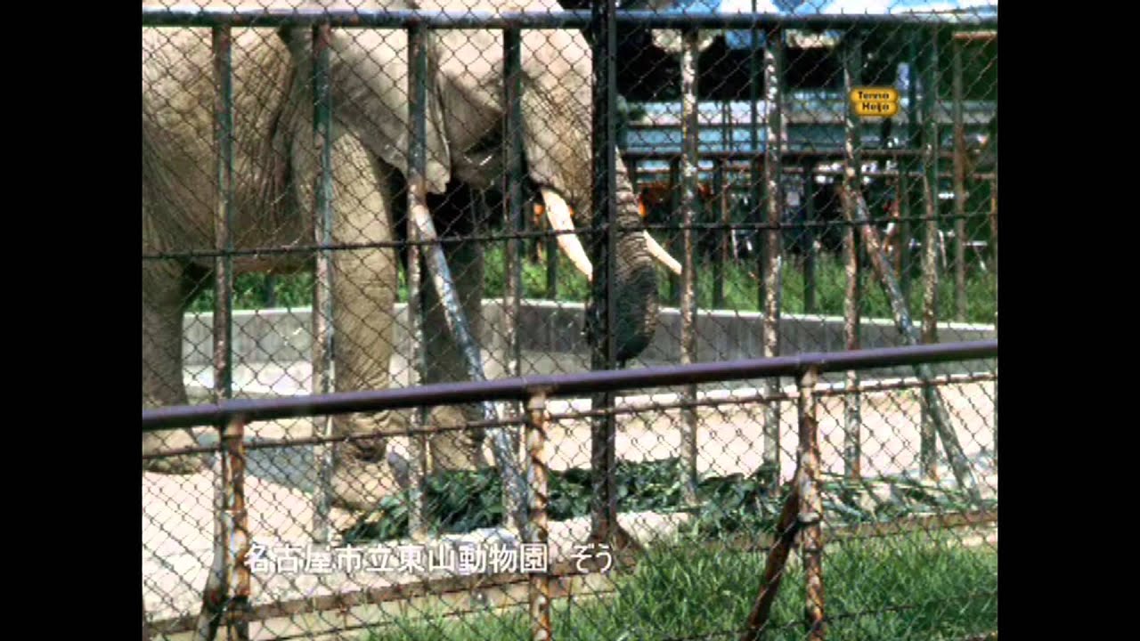 名古屋のカラー写真 (1973年7月)