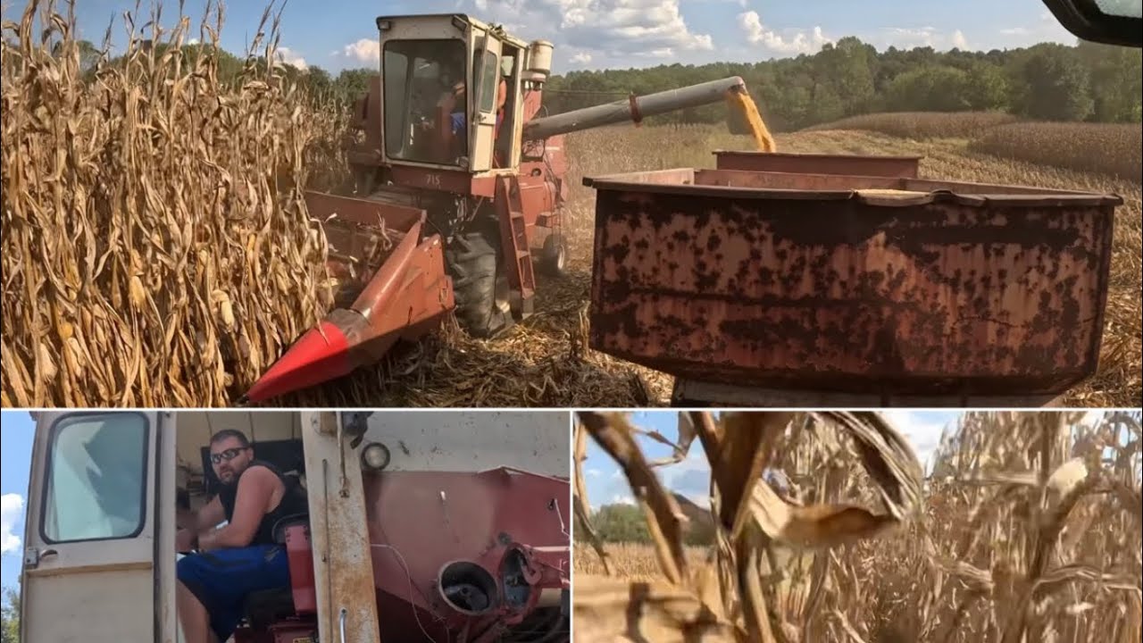 Dusting the Cobwebs Off The Combine and Running Corn