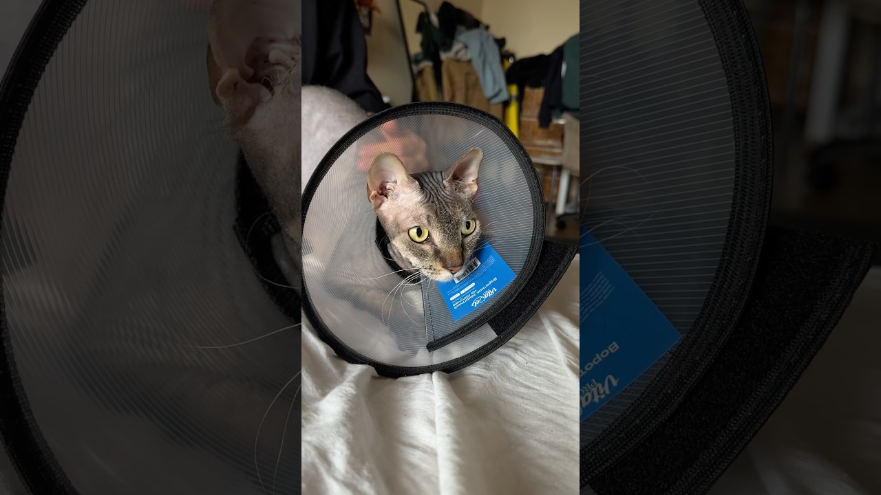 26 марта 2026 г.