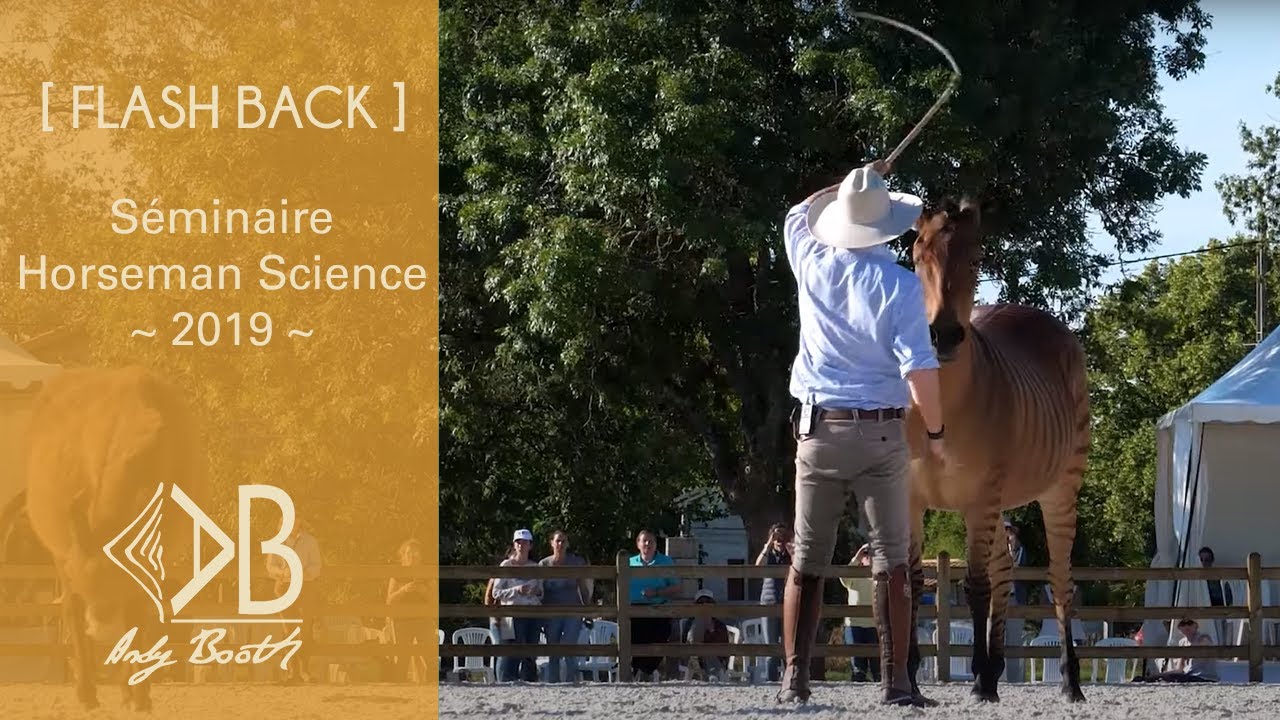 [ FLASH BACK ] CLIP Séminaire Horseman Science 2019