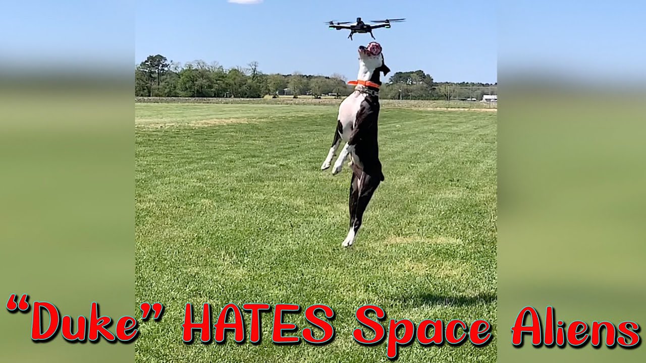Duke HATES Space Aliens!!!!  -  GoPro Karma Drone hero 6