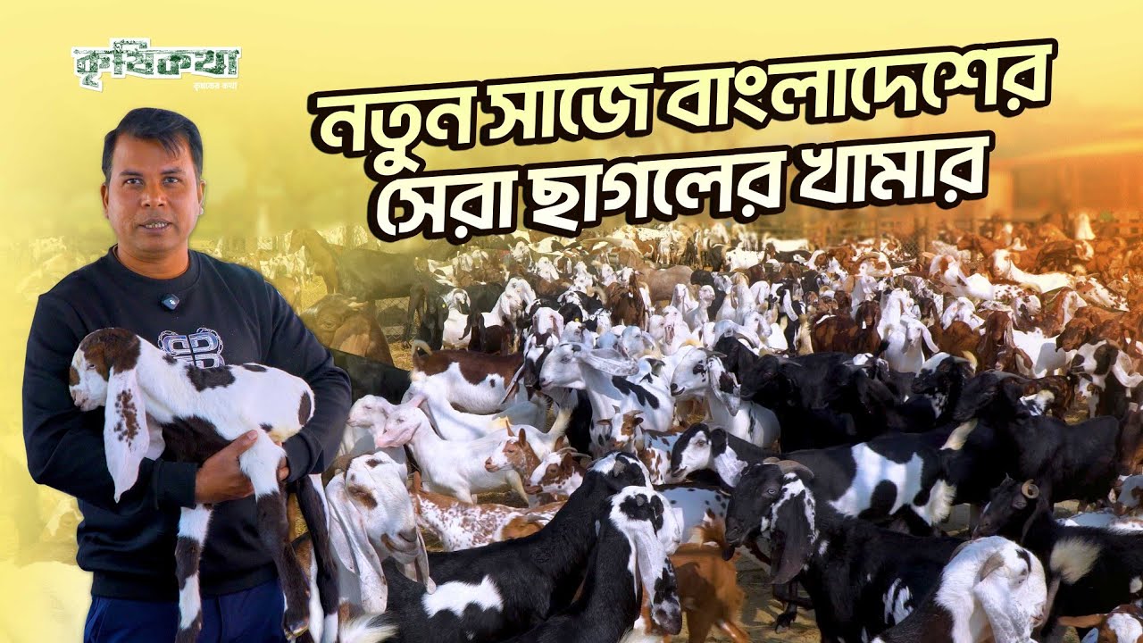 নতুন সাজে বাংলাদেশের সেরা  ছাগলের খামার। আস্থা এগ্রো ফার্ম