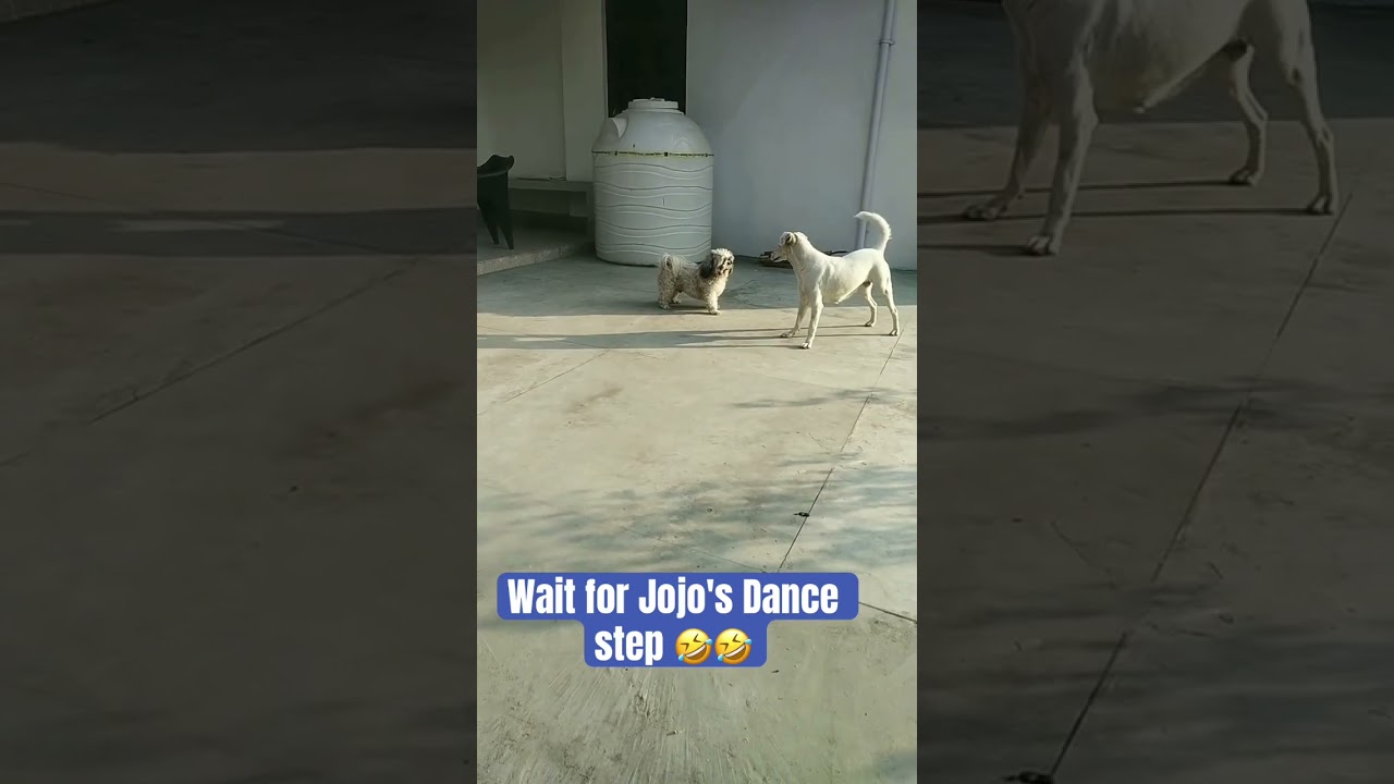 #funny