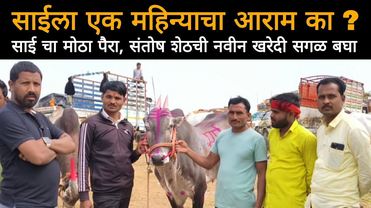 संतोष शेठ करणार मोठी खरेदी | साईला तब्बल एका महिन्याचा आराम का दिला 