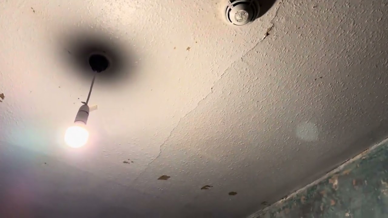 Vigilon Detector Test