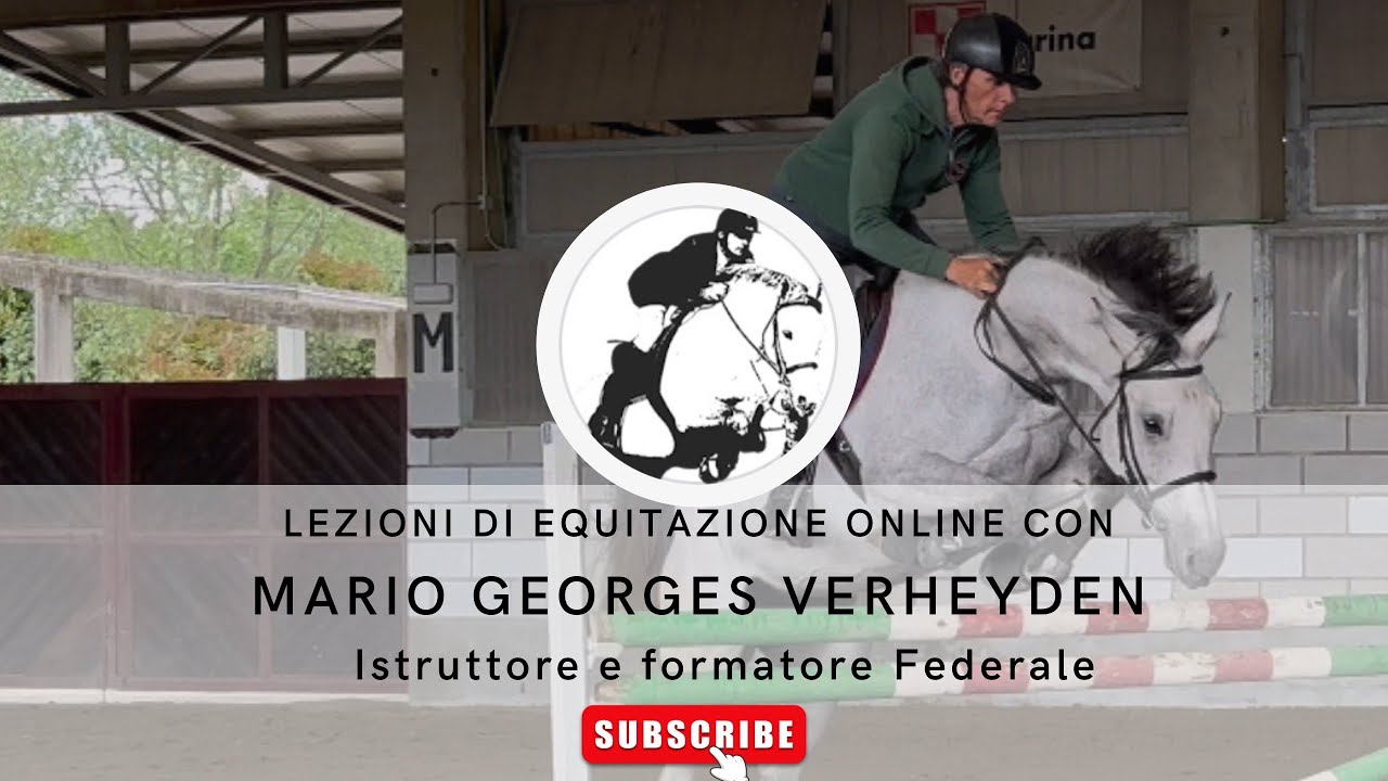 Equitazione online: favorire la decontrazione del cavallo